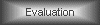 Evaluation